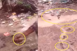 Mưa cá rơi ào ào xuống đường, dân vui sướng đầy kinh ngạc