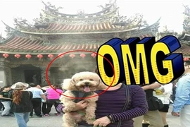 Chú chó đi lễ đầu năm và khói nhang độc lạ gây sốc
