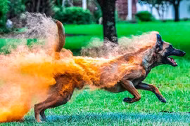 Khoảnh khắc trùng hợp khó tin có thật xem muốn "tẩu hỏa" (1)