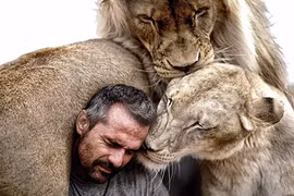 Ly kỳ sự gắn bó giữa người và sư tử hoang dã
