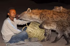 Phát hãi những dị nhân nuôi quái vật như thú cưng