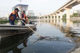 Ảnh: Vớt hàng bao tải cá chết, “sơ tán” cá sống ở hồ Hoàng Cầu