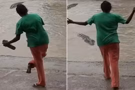 Bị thiếu nữ cầm dép dọa phang, cá sấu tủi nhục quay gót