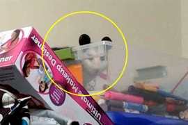 Con hét có “quái vật lông lá” trong phòng, mẹ "bơ" đi và kết