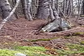 Kỳ lạ đất biết “thở” như người