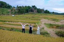 Đến Măng Đen, đừng bỏ lỡ những điểm check-in đẹp mê hồn