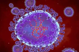 Virus HMPV gây viêm phổi có lây qua quan hệ tình dục?