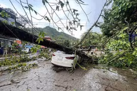 Mưa dông lớn khiến cây đa cổ thụ bật gốc đè bẹp ô tô con