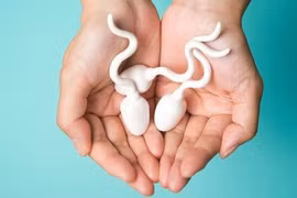 Tinh trùng sống được bao lâu trong tử cung?