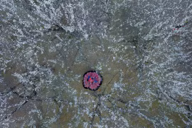 Ngắm hoa mận nở trắng trời giữa cao nguyên Bắc Hà