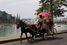 Vì sao Đà Lạt cấm xe ngựa quanh hồ Xuân Hương?