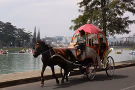 Vì sao Đà Lạt cấm xe ngựa quanh hồ Xuân Hương?