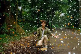 Về Cúc Phương, lạc lối giữa “thiên đường bướm“