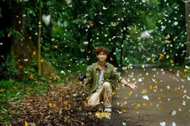 Về Cúc Phương, lạc lối giữa “thiên đường bướm“