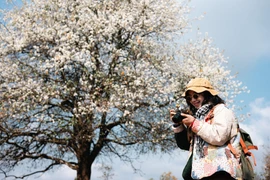 Đến Nậm Nghẹp đắm mình trong sắc trắng tinh khôi của hoa sơn tra	