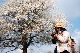 Đến Nậm Nghẹp đắm mình trong sắc trắng tinh khôi của hoa sơn tra	