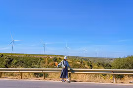 Đến Tây Nguyên ngắm mùa thay lá “trốn nồm” xứ Bắc