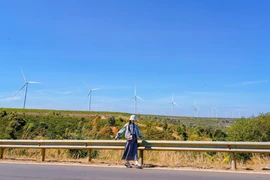 Đến Tây Nguyên ngắm mùa thay lá “trốn nồm” xứ Bắc