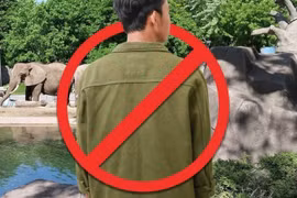 Lý do vườn thú ở Nhật Bản cấm khách nam đi một mình