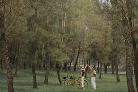 Lạc bước giữa rừng thông cổ ở lăng Gia Long