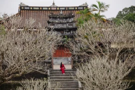 Vẻ đẹp tuyệt tác của lăng vua Minh Mạng 