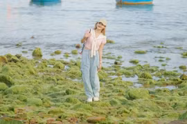 Giới trẻ thích thú check-in “thảm rêu” xanh mướt tại Quy Nhơn