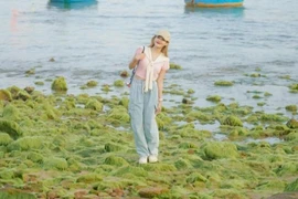 Giới trẻ thích thú check-in “thảm rêu” xanh mướt tại Quy Nhơn