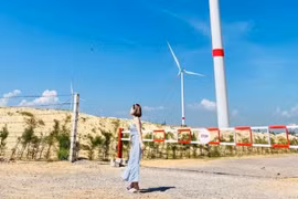 Lạc lối giữa vẻ đẹp của cánh đồng điện gió Phương Mai