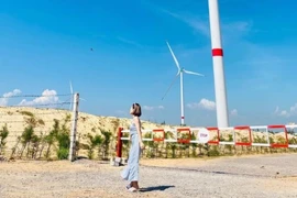 Lạc lối giữa vẻ đẹp của cánh đồng điện gió Phương Mai