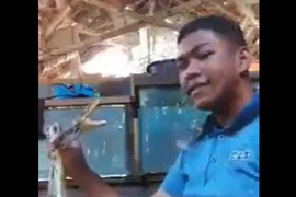 Video: Rùng mình nam thanh niên bị rắn tấn công