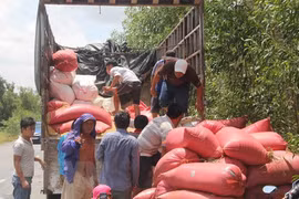 Bị dừng xe chở quá tải, tài xế lao thẳng vào lực lượng chức năng