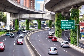 Những vườn cây thẳng đứng phủ xanh các cột trụ trên đường cao tốc