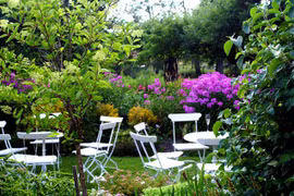 Gửi quà chúc Tết, mẹ nghèo lặng người trước câu nói thông gia