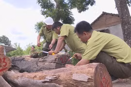 Vụ Phượng “râu“: Khởi tố thêm một cán bộ kiểm lâm