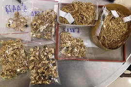 Vụ 9X trộm hơn 430 lượng vàng: Từ người học việc thành 'siêu trộm'