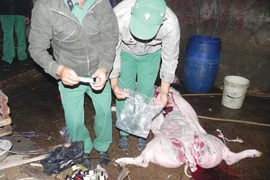 Cảnh báo thịt heo tiêm thuốc an thần