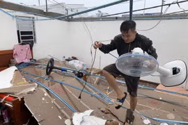 Bão số 12 Etau: Cây đổ la liệt, biển quảng cáo bay tứ tung