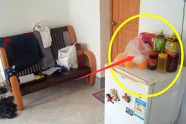 4 món đồ “đại kỵ” đặt trên nóc tủ lạnh làm Thần Tài “giận dỗi”, vất vả làm ăn cả đời cũng không giàu 