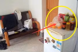 4 món đồ “đại kỵ” đặt trên nóc tủ lạnh làm Thần Tài “giận dỗi”, vất vả làm ăn cả đời cũng không giàu 
