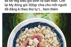 Tung tin “tỏi Lý Sơn nhiễm thuốc trừ sâu”, FB Lương Hoàng Anh bị phạt nặng?