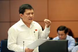 Nghi vấn ĐBQH có quốc tịch Cyprus: Nếu hai quốc tịch là vi phạm Luật tổ chức Quốc hội?