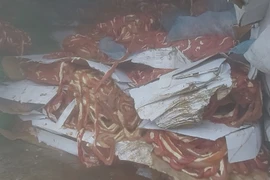 Hải Dương: Phát hiện kho chứa 50 tấn nội tạng động vật không rõ nguồn gốc 