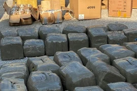 665,2kg chất ma túy được phát hiện khi qua Cảng Hải Phòng