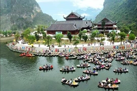 Công ty Xuân Trường nợ thuế 25 tỷ đồng: Giám đốc Xuân Trường tiết lộ lý do 