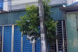 Chồng tưới xăng đốt vợ ở Thái Bình