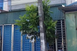 Chồng tưới xăng đốt vợ ở Thái Bình