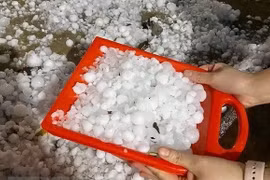 Mưa lớn, mưa đá kèm dông lốc: Hàng nghìn gia đình “mất tết” do nhà hư hỏng