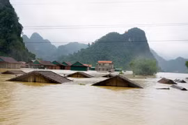 Mất rừng, lũ nhanh hơn, tai họa lớn hơn