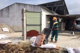 Hải Dương: Cận cảnh tiêu hủy 72 tấn nội tạng động vật không nguồn gốc