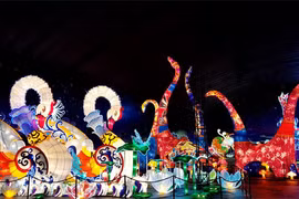 Chùm ảnh: Lung linh lễ hội lồng đèn khổng lồ tại Sài Gòn